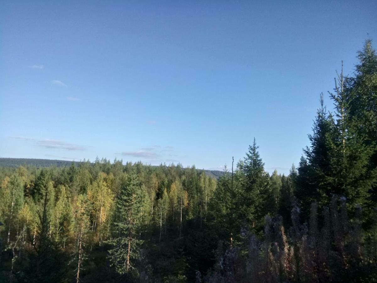 Metsorinne Kotila Екстер'єр фото